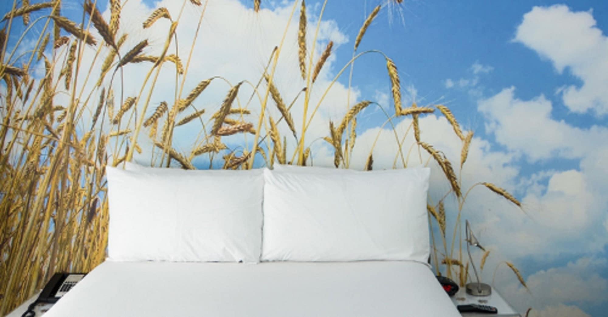 Penguin Hotel Miami Beach Luaran gambar